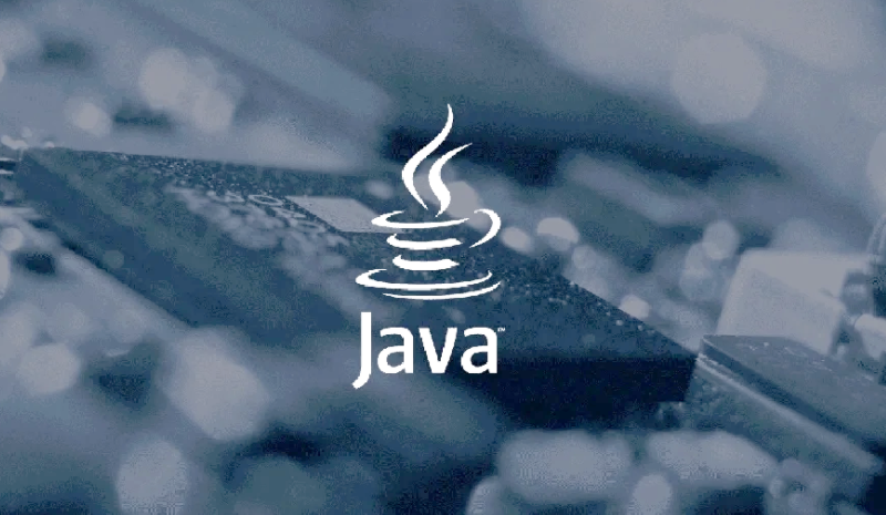 java怎么輸入變量的值和數(shù)據(jù) java輸入變量的值和數(shù)據(jù)的區(qū)別