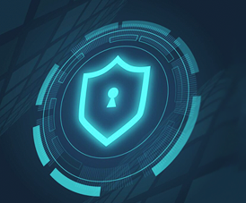 Web安全掃描能力