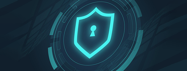 Web安全掃描能力