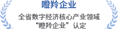 瞪羚企業(yè)